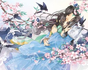 老狼影院最新网站